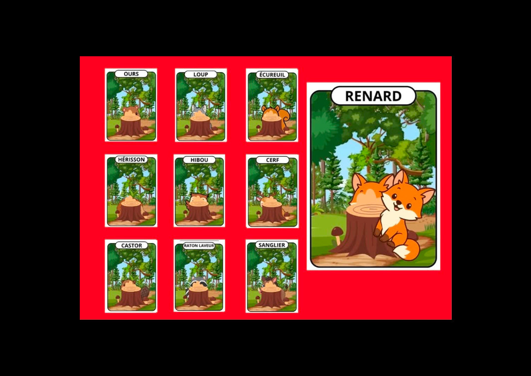 Mes animaux cachés La forêt - pièces à scratch avec animaux de la forêt