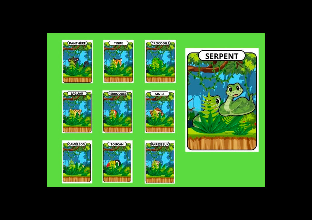 Mes animaux cachés La jungle - pièces à scratch avec animaux de la jungle